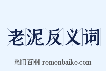 老泥反义词是什么意思的图片